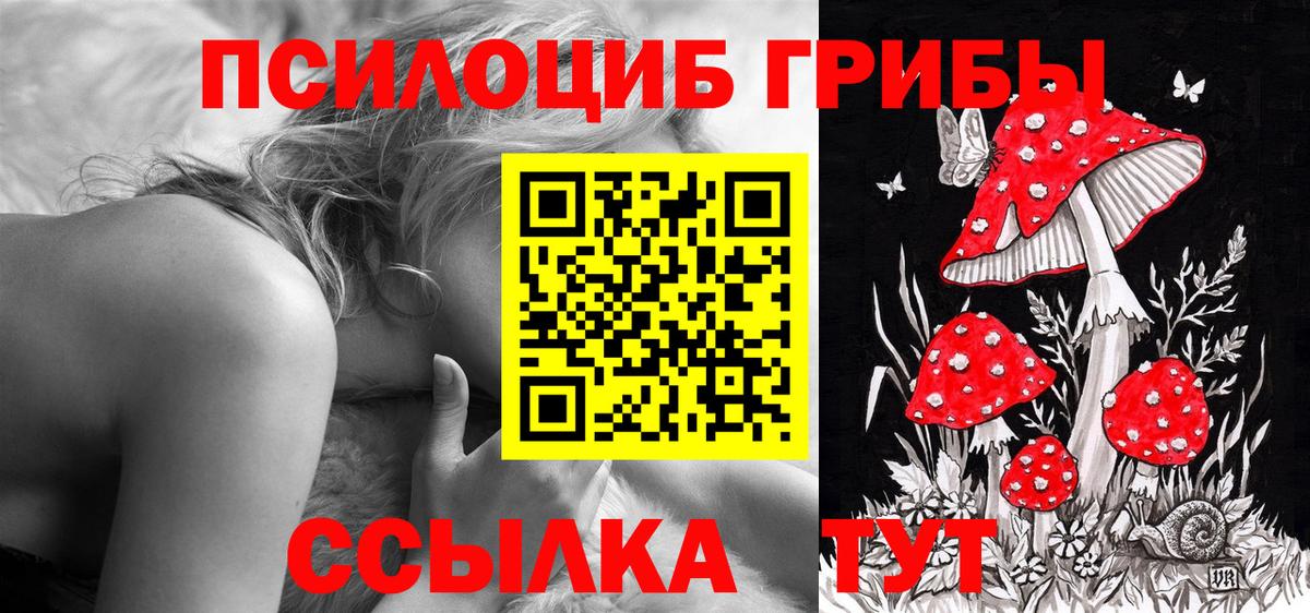 Астрахань  Псилоцибиновые грибы мухоморы  Галлюциногенные грибы GOLDEN TEACHER  Вход с VPN 