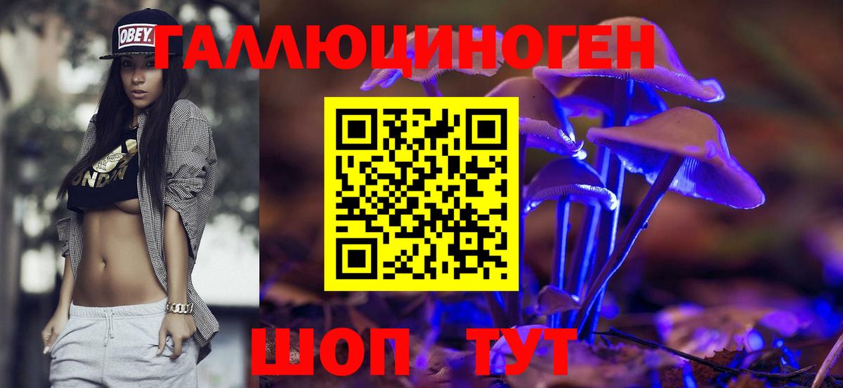 Галлюциногенные грибы Cubensis Астрахань